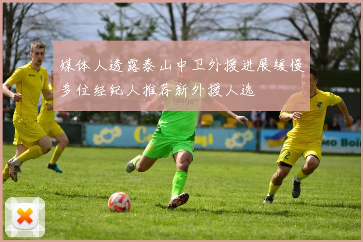 媒体人透露泰山中卫外援进展缓慢多位经纪人推荐新外援人选
