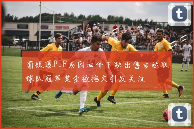 葡媒曝PIF或因油价下跌出售吉达联球队冠军奖金被拖欠引发关注