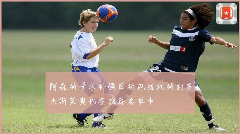 阿森纳寻求补强目标包括托纳利罗杰斯莱奥也在推荐名单中