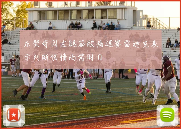 东契奇因左腿筋酸痛退赛雷迪克表示判断伤情尚需时日